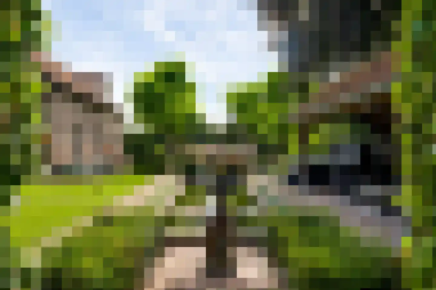 Wilhelminastraat 8 Stramproy thumbnail 50