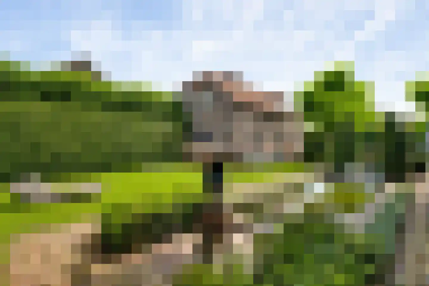 Wilhelminastraat 8 Stramproy thumbnail 51