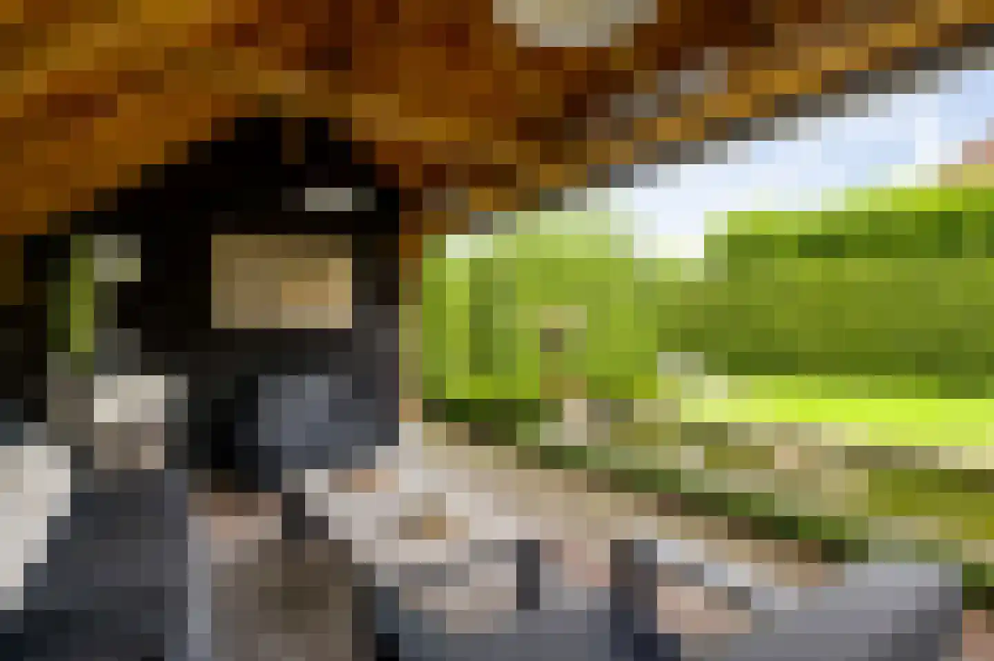 Wilhelminastraat 8 Stramproy thumbnail 53