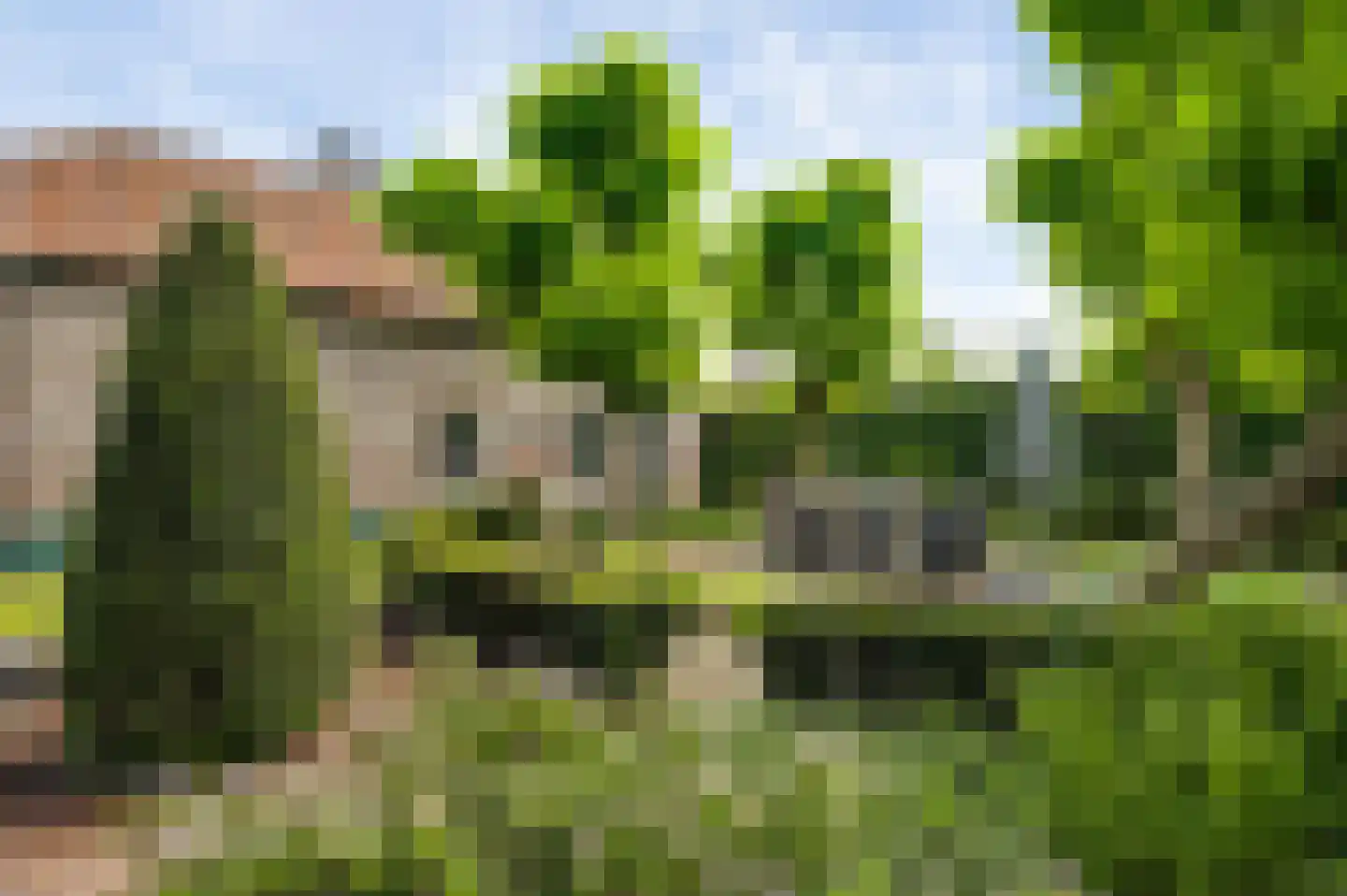 Wilhelminastraat 8 Stramproy thumbnail 57