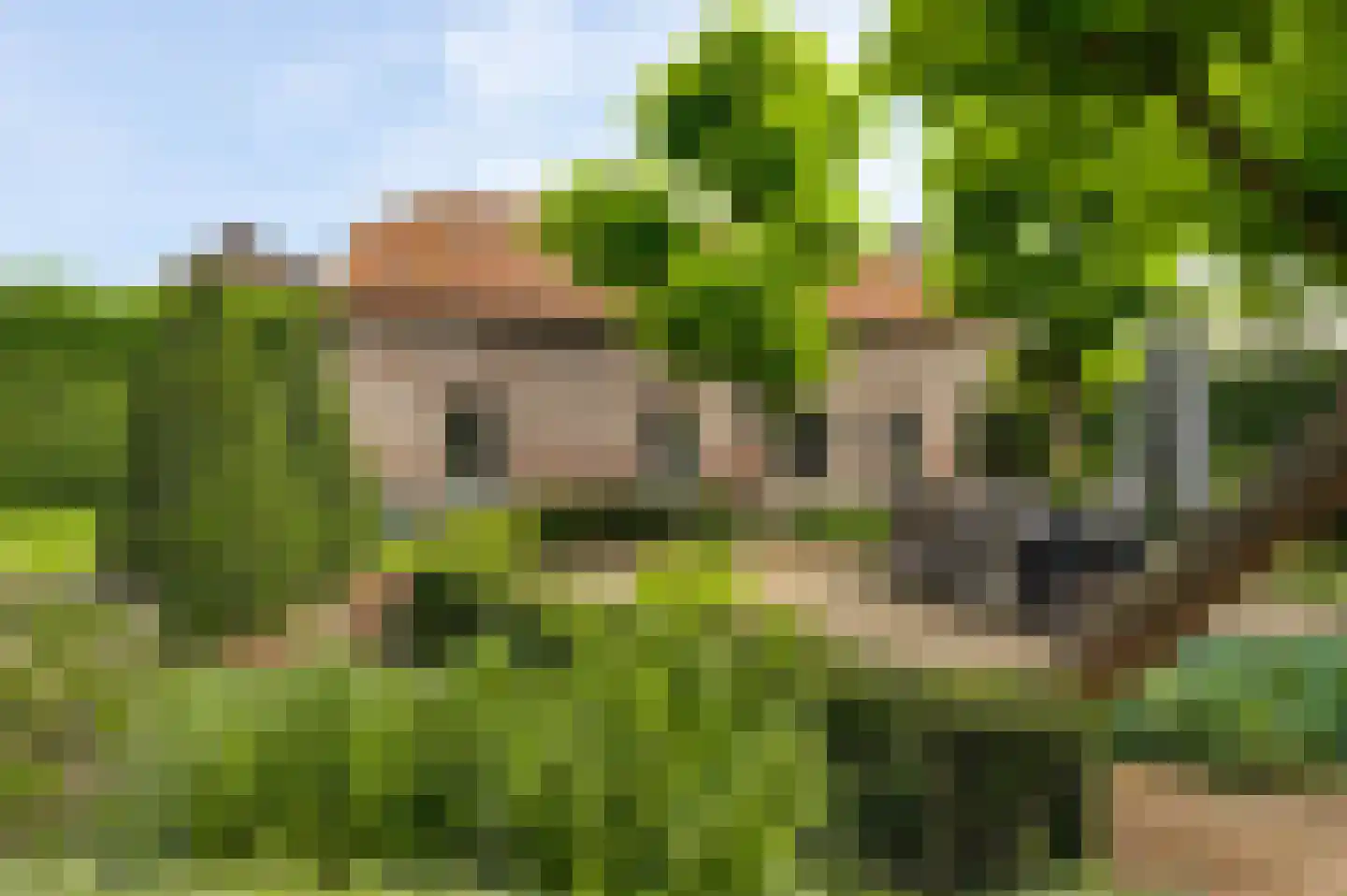 Wilhelminastraat 8 Stramproy thumbnail 58