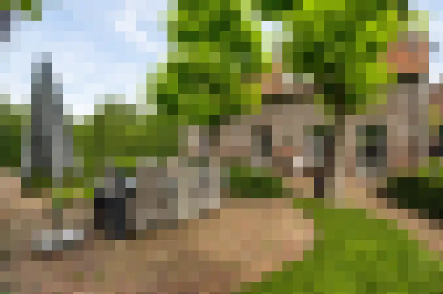 Wilhelminastraat 8 Stramproy thumbnail 59