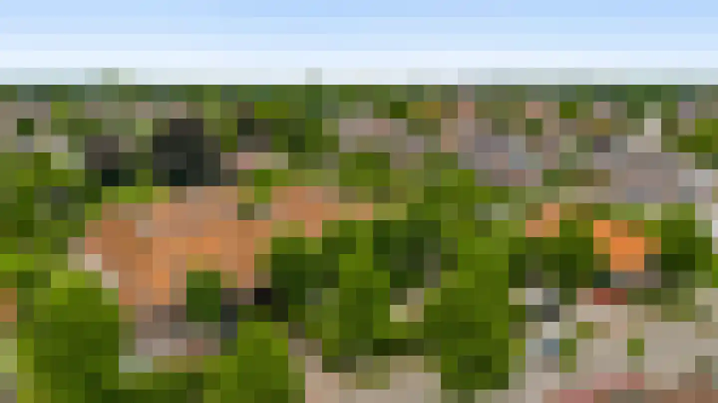 Wilhelminastraat 8 Stramproy thumbnail 6
