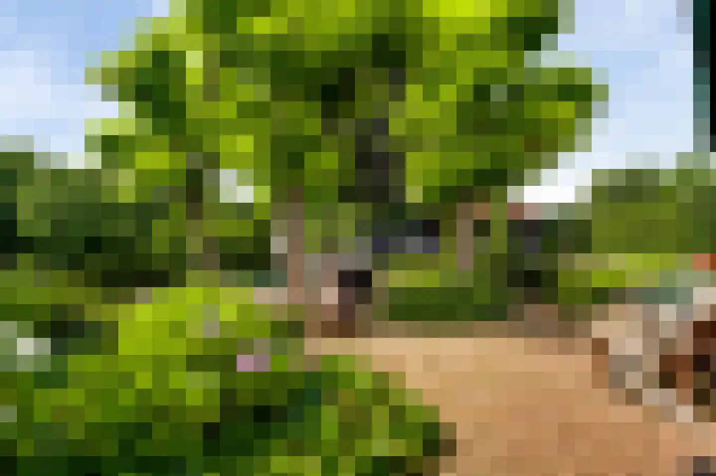 Wilhelminastraat 8 Stramproy thumbnail 60