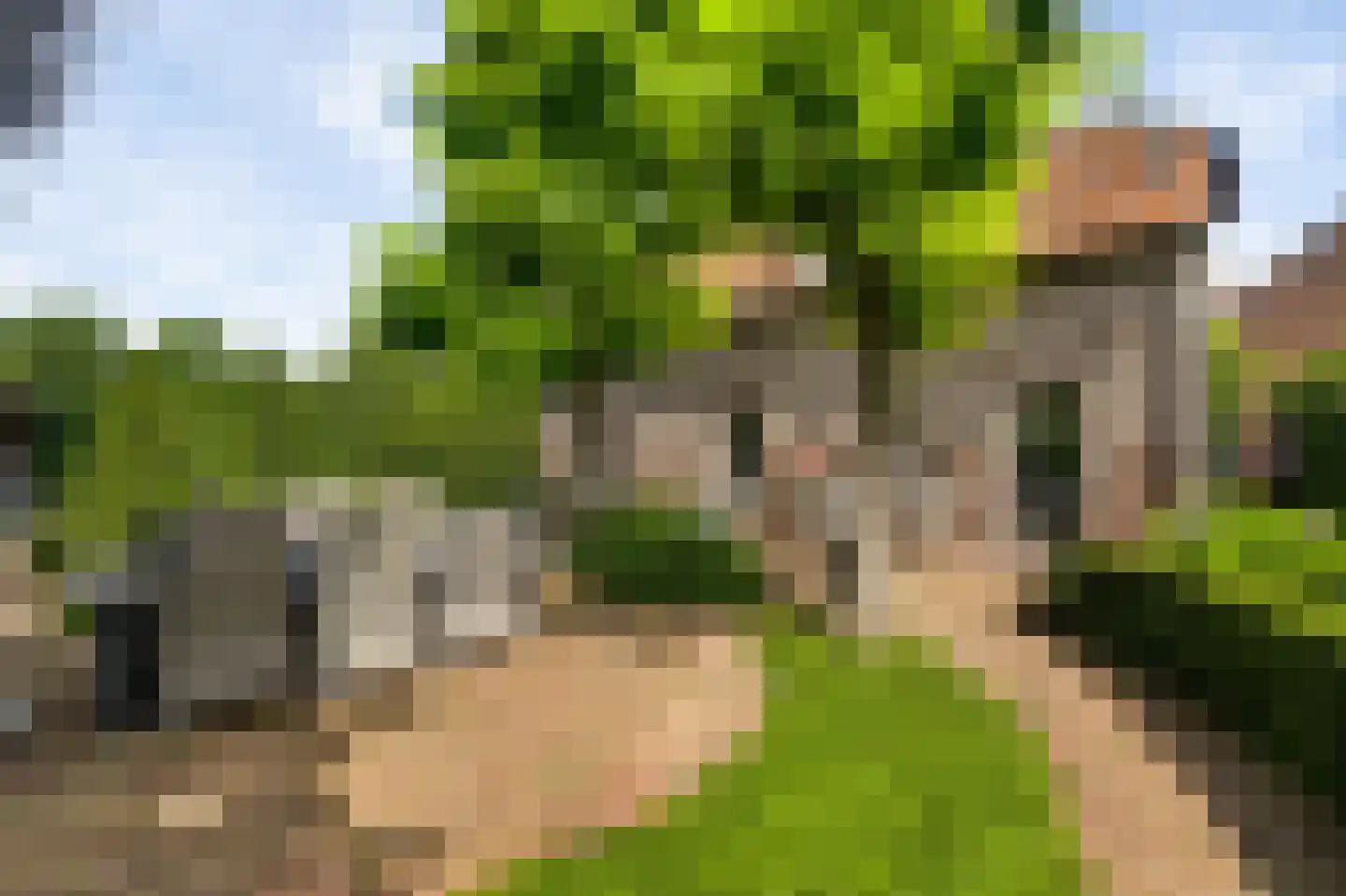 Wilhelminastraat 8 Stramproy thumbnail 61