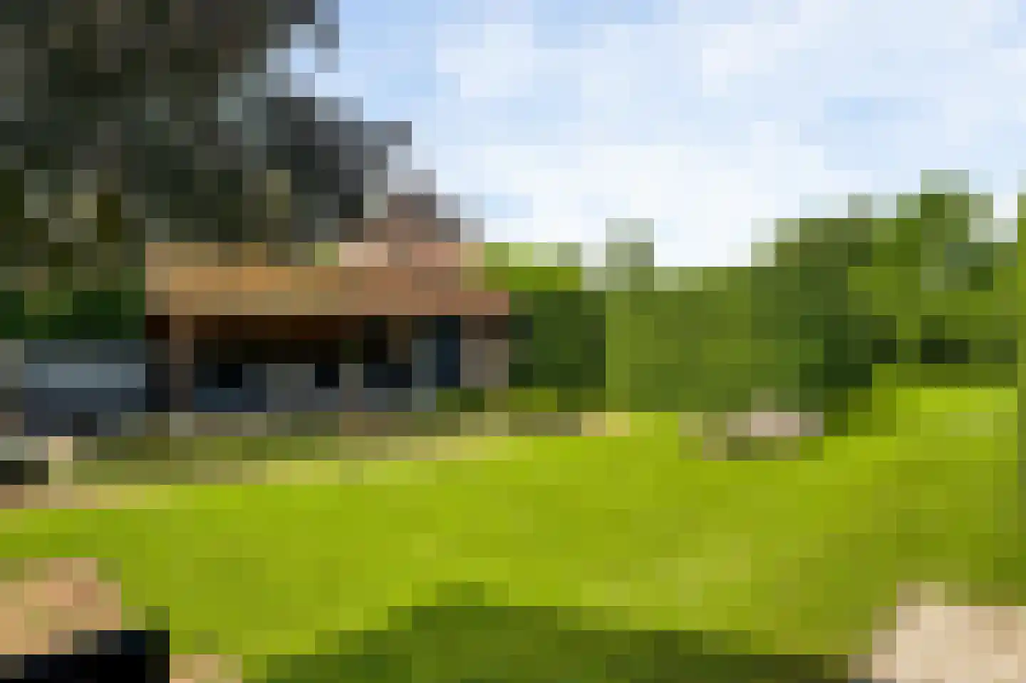 Wilhelminastraat 8 Stramproy thumbnail 62