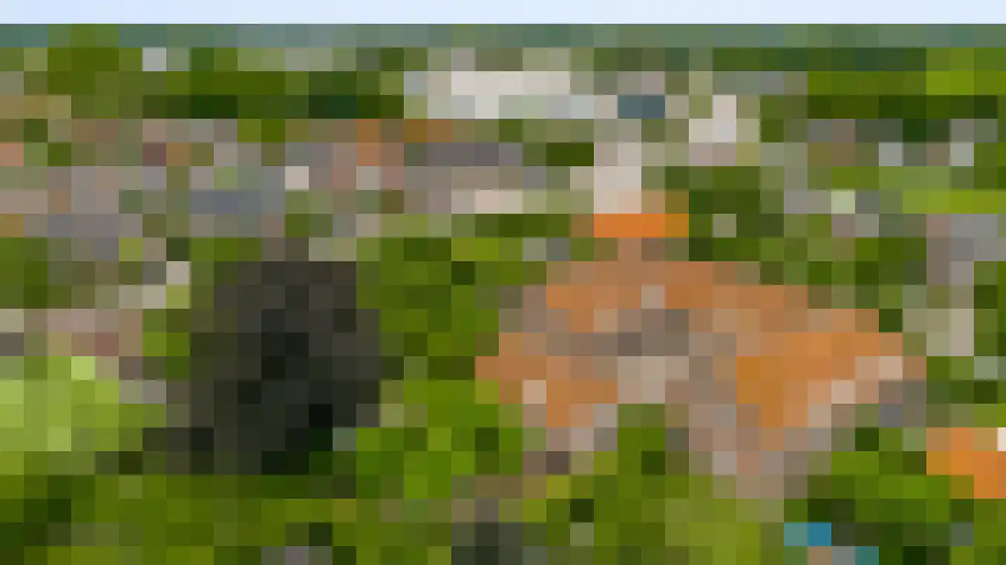 Wilhelminastraat 8 Stramproy thumbnail 7
