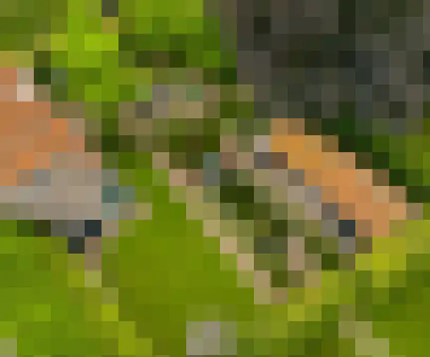 Wilhelminastraat 8 Stramproy thumbnail 8