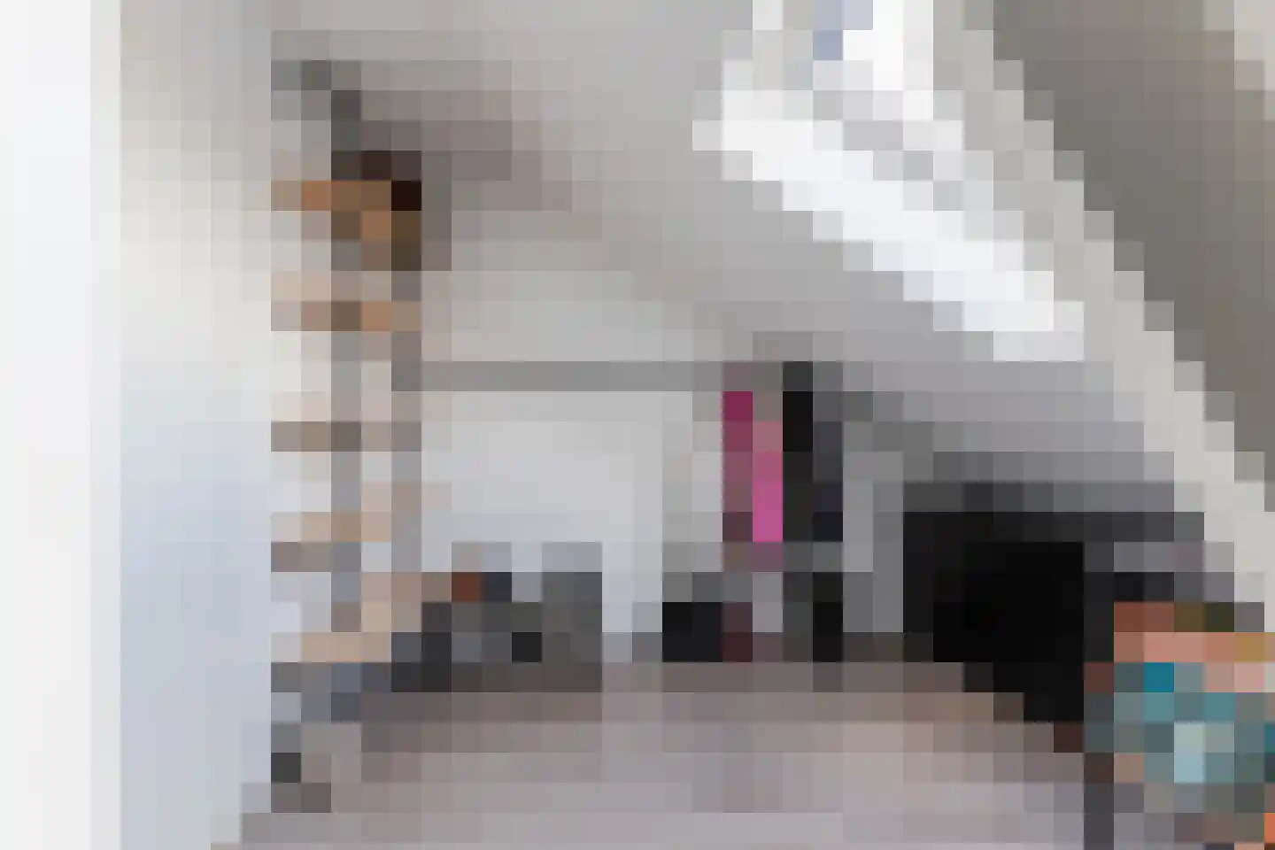 Wilhelminastraat 8 t Waalwijk thumbnail 22