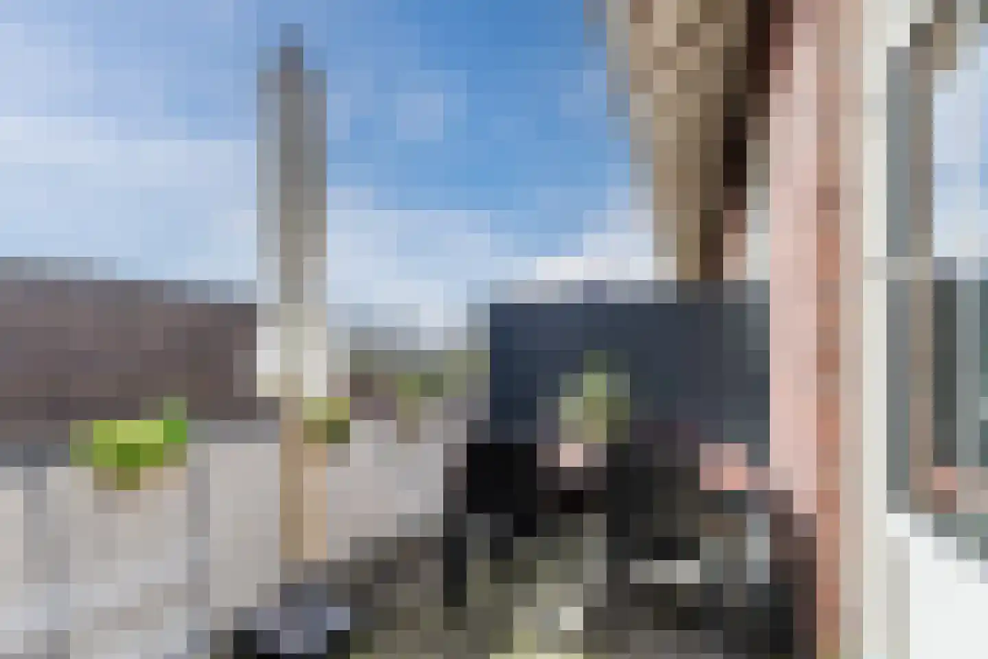 Wilhelminastraat 8 t Waalwijk thumbnail 27