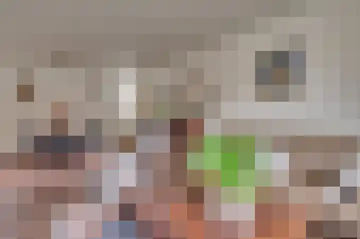 Wilhelminastraat 8 Velden thumbnail 11