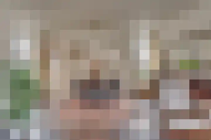 Wilhelminastraat 8 Velden thumbnail 12