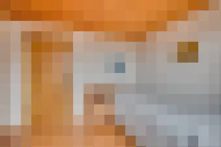 Wilhelminastraat 8 Velden thumbnail 32