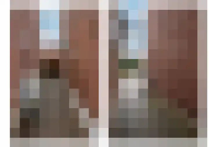 Wilhelminastraat 8 Velden thumbnail 33