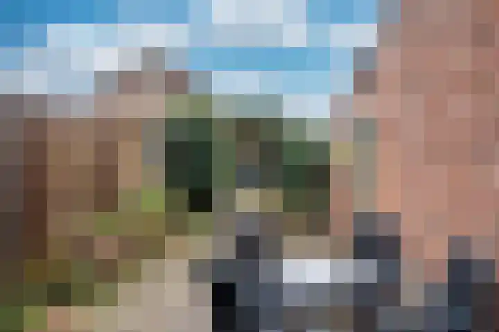 Wilhelminastraat 8 Velden thumbnail 35