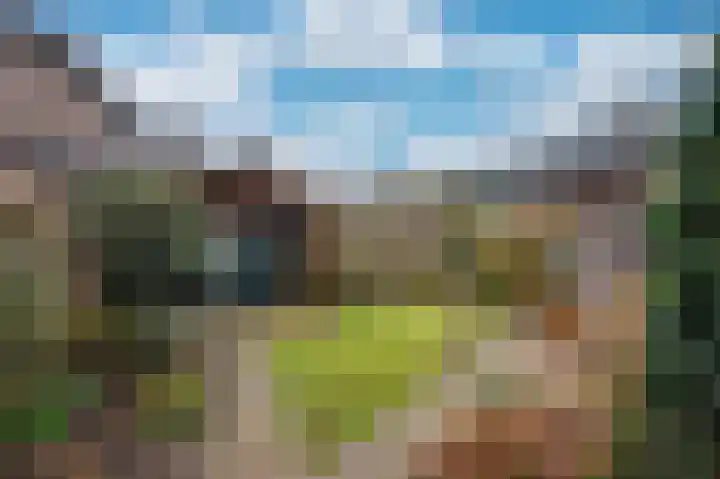 Wilhelminastraat 8 Velden thumbnail 36