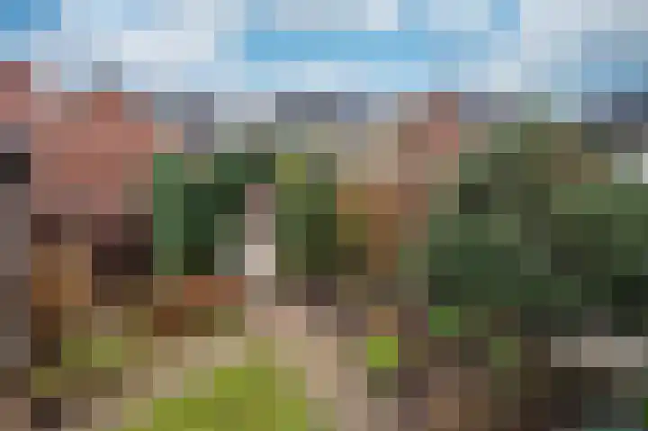 Wilhelminastraat 8 Velden thumbnail 38
