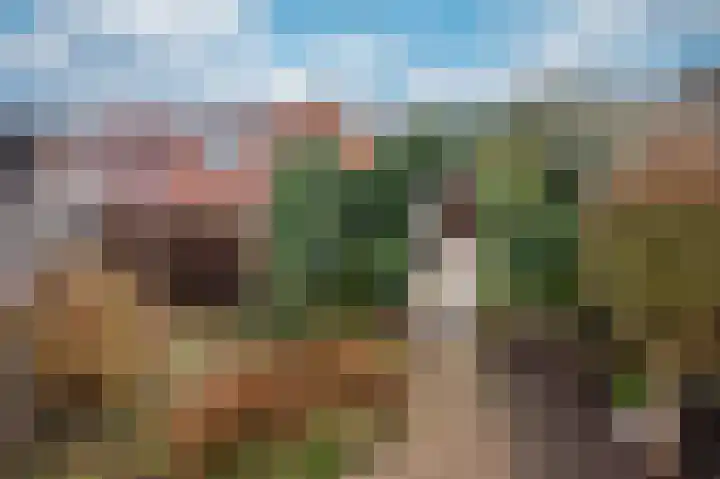 Wilhelminastraat 8 Velden thumbnail 39