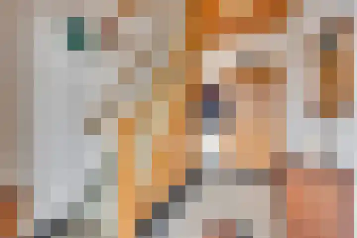 Wilhelminastraat 8 Velden thumbnail 4
