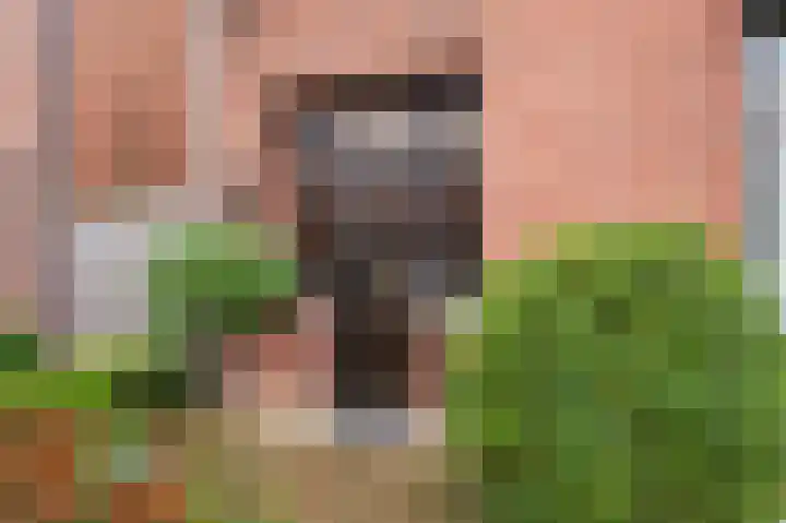 Wilhelminastraat 8 Velden thumbnail 42