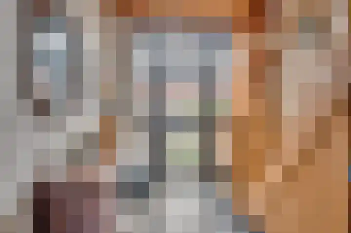 Wilhelminastraat 8 Velden thumbnail 5
