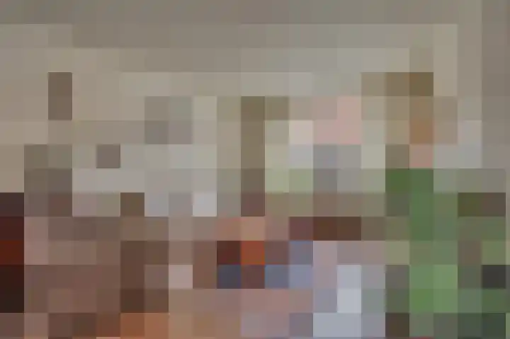 Wilhelminastraat 8 Velden thumbnail 9
