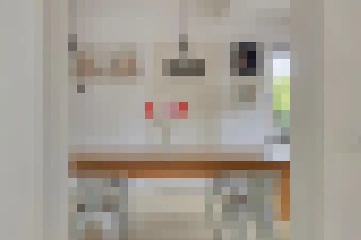 Wilhelminastraat 8 Venray thumbnail 14