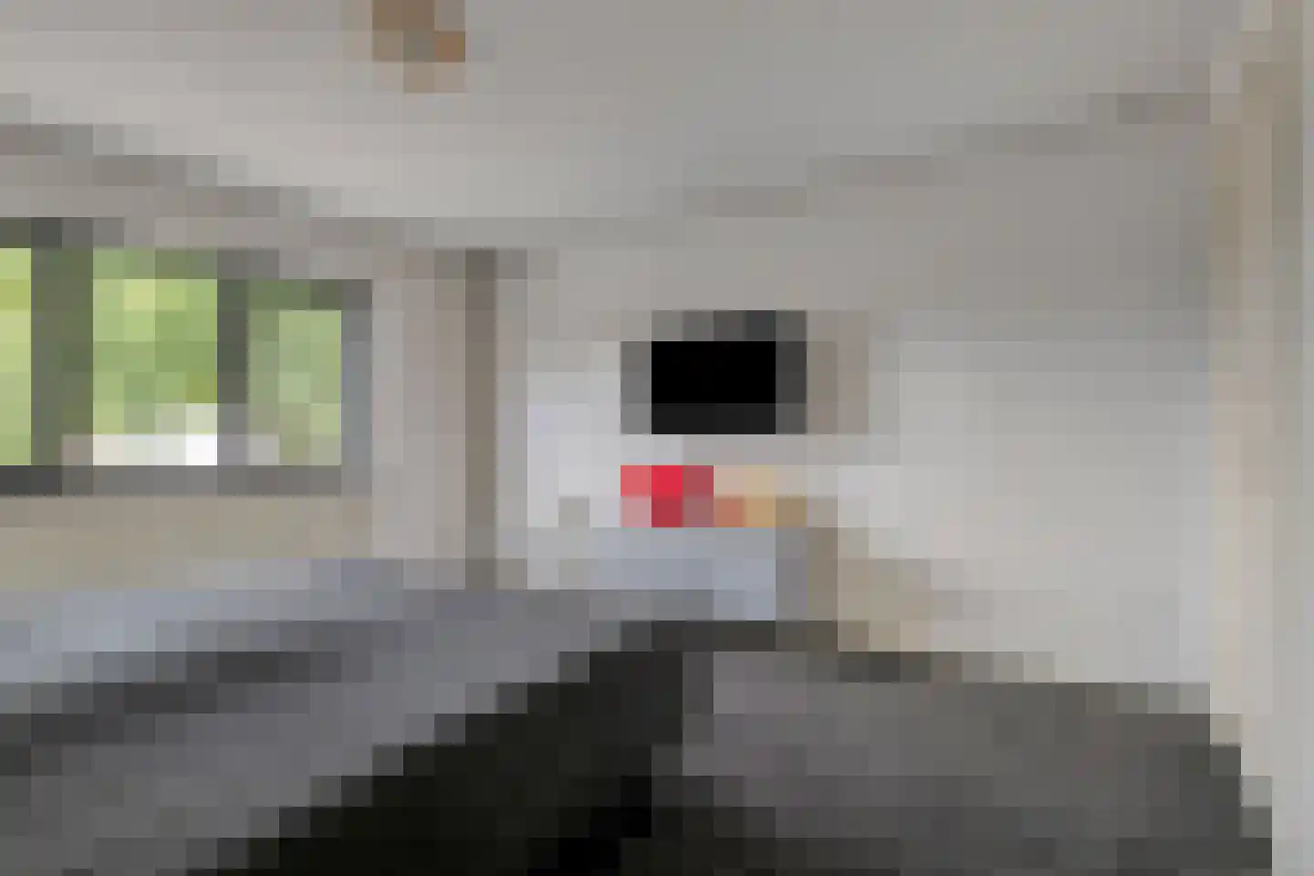 Wilhelminastraat 8 Venray thumbnail 23