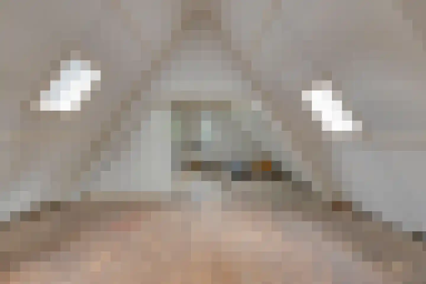 Wilhelminastraat 8 Venray thumbnail 36