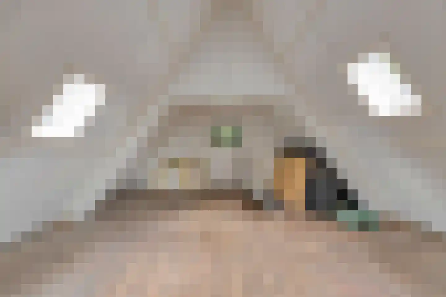 Wilhelminastraat 8 Venray thumbnail 37