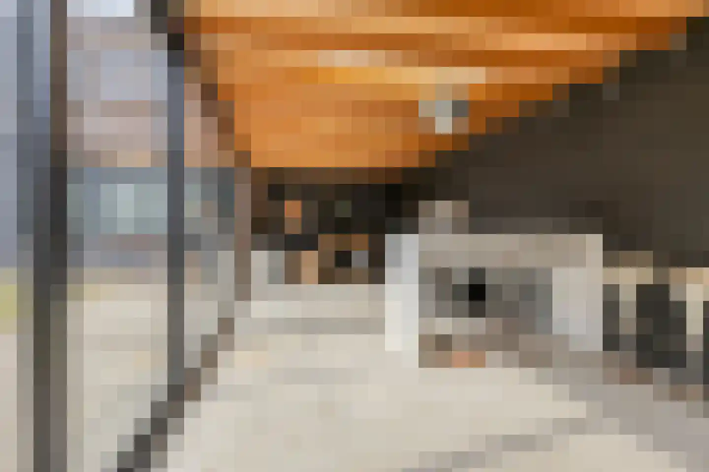 Wilhelminastraat 8 Venray thumbnail 63