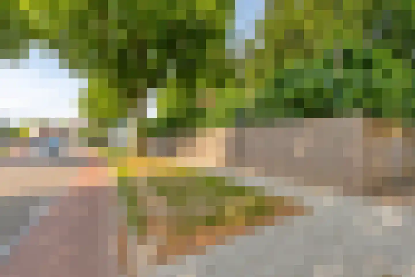 Wilhelminastraat 8 Venray thumbnail 66