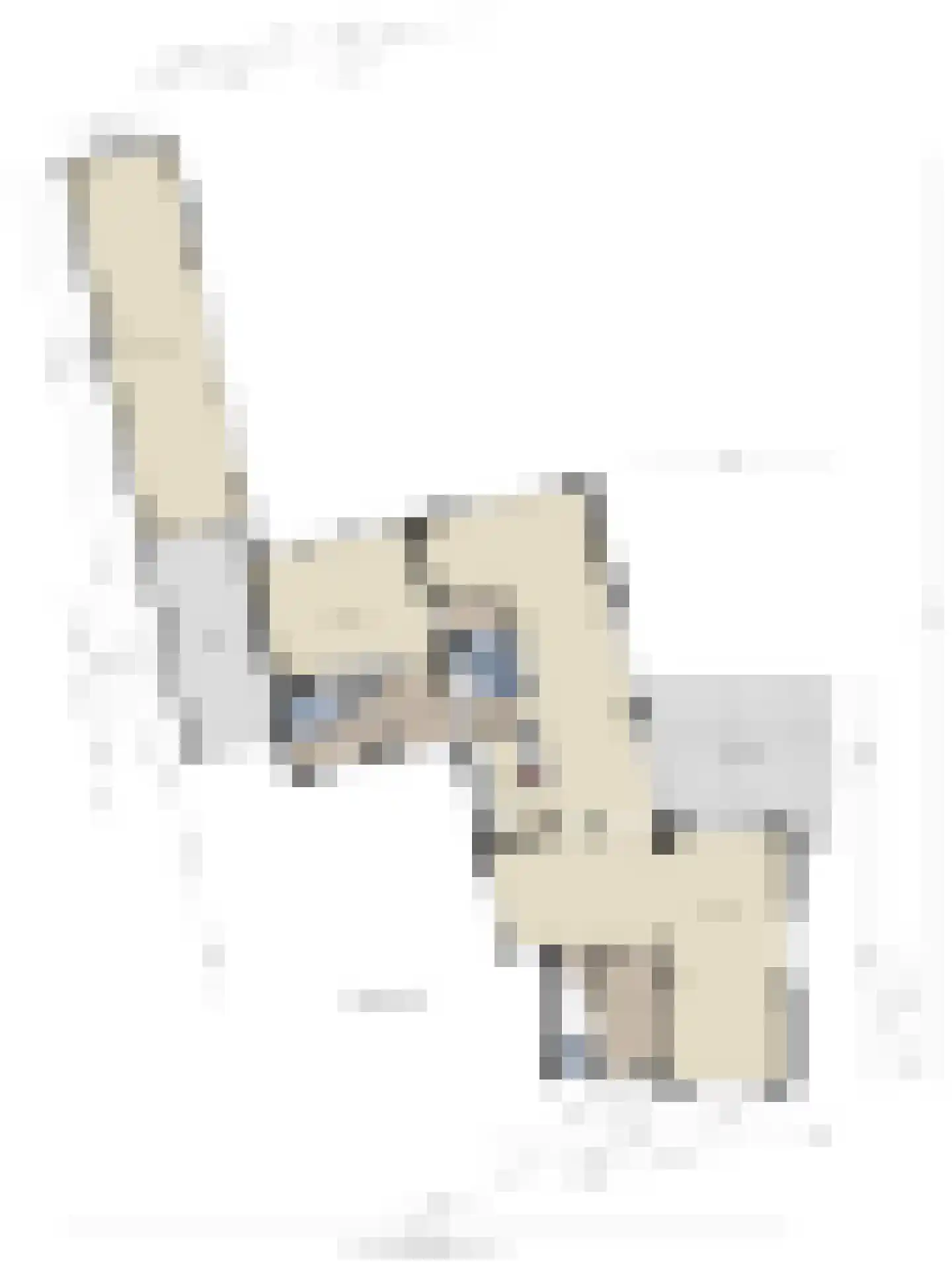 Wilhelminastraat 8 Venray thumbnail 69