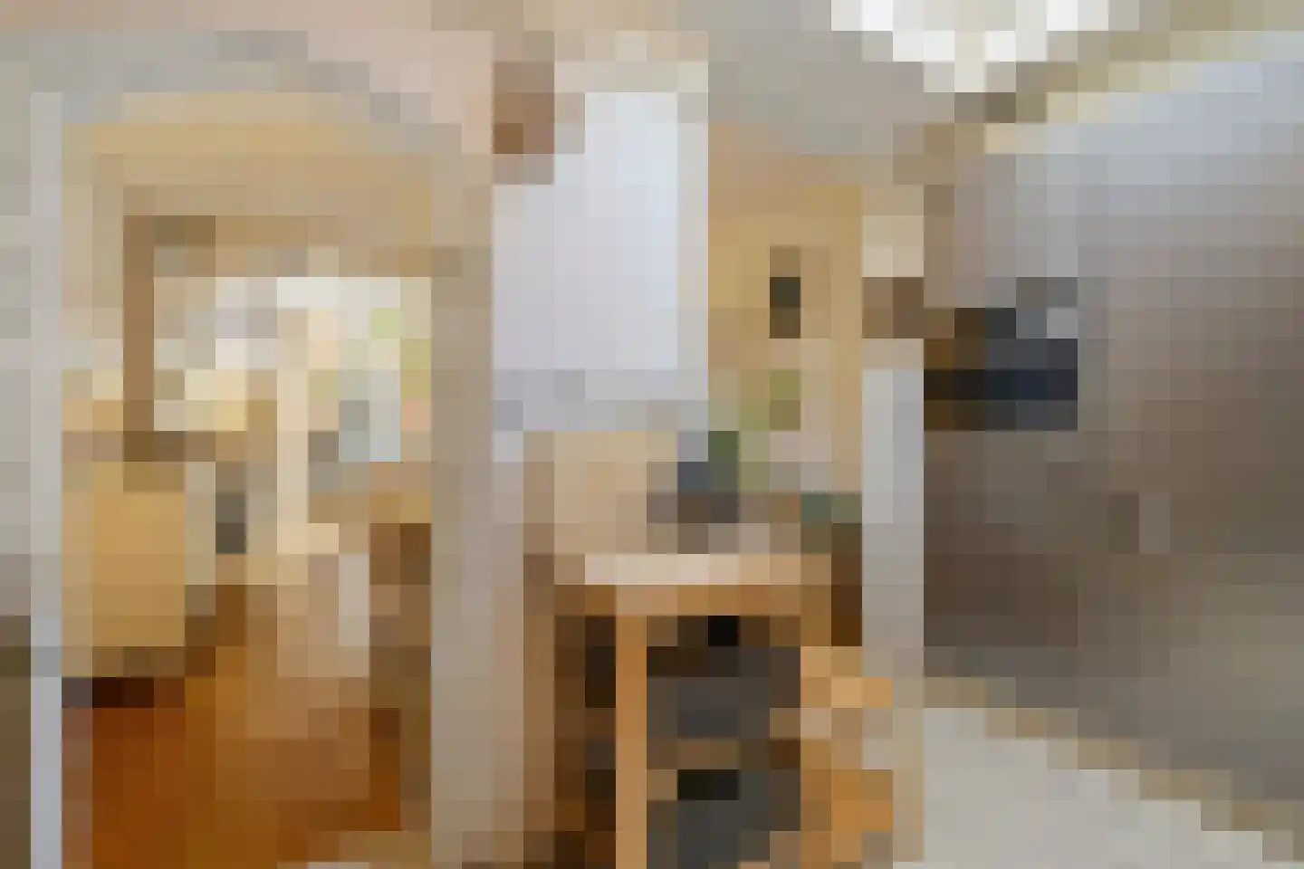 Wilhelminastraat 8 Weesp thumbnail 13