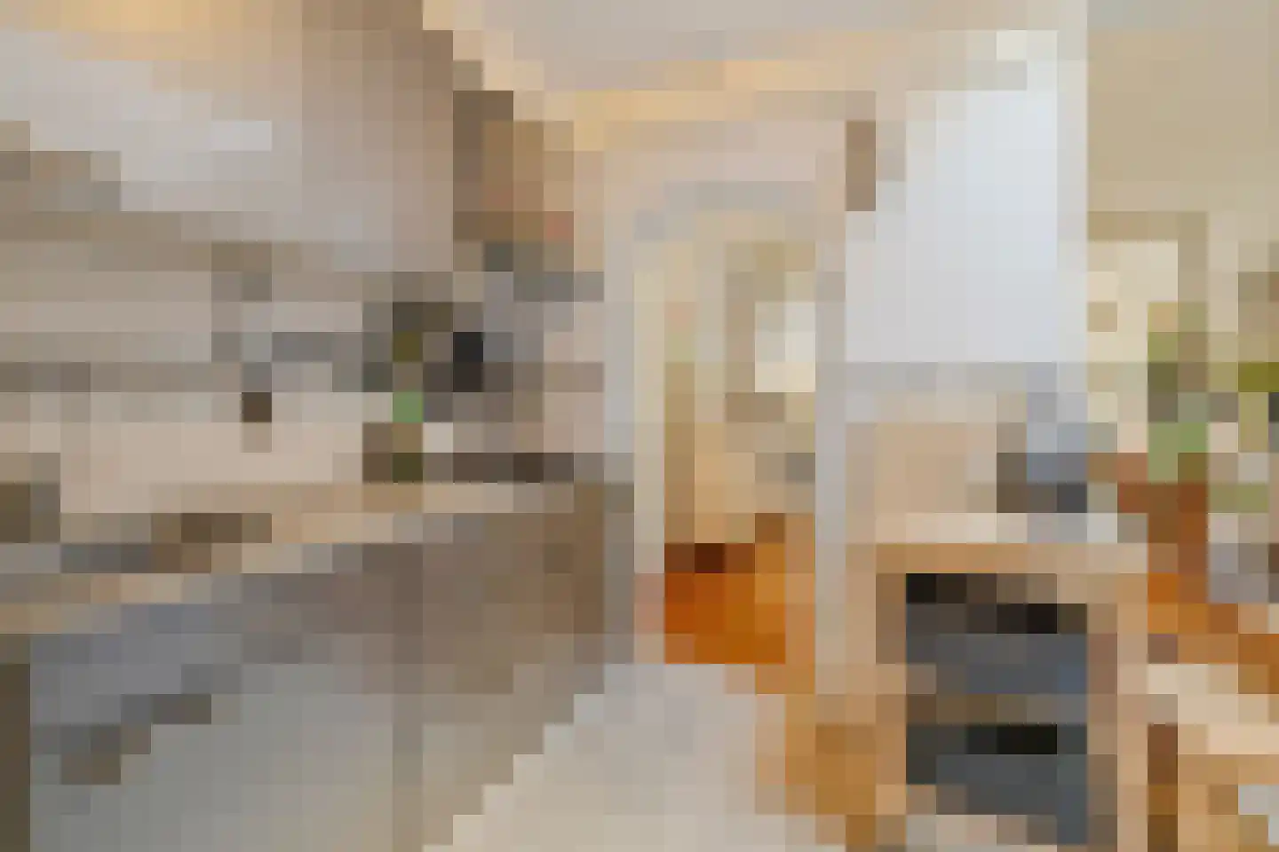 Wilhelminastraat 8 Weesp thumbnail 5