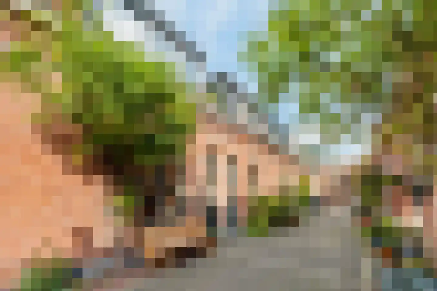 Wilhelminastraat 8 Weesp thumbnail 6