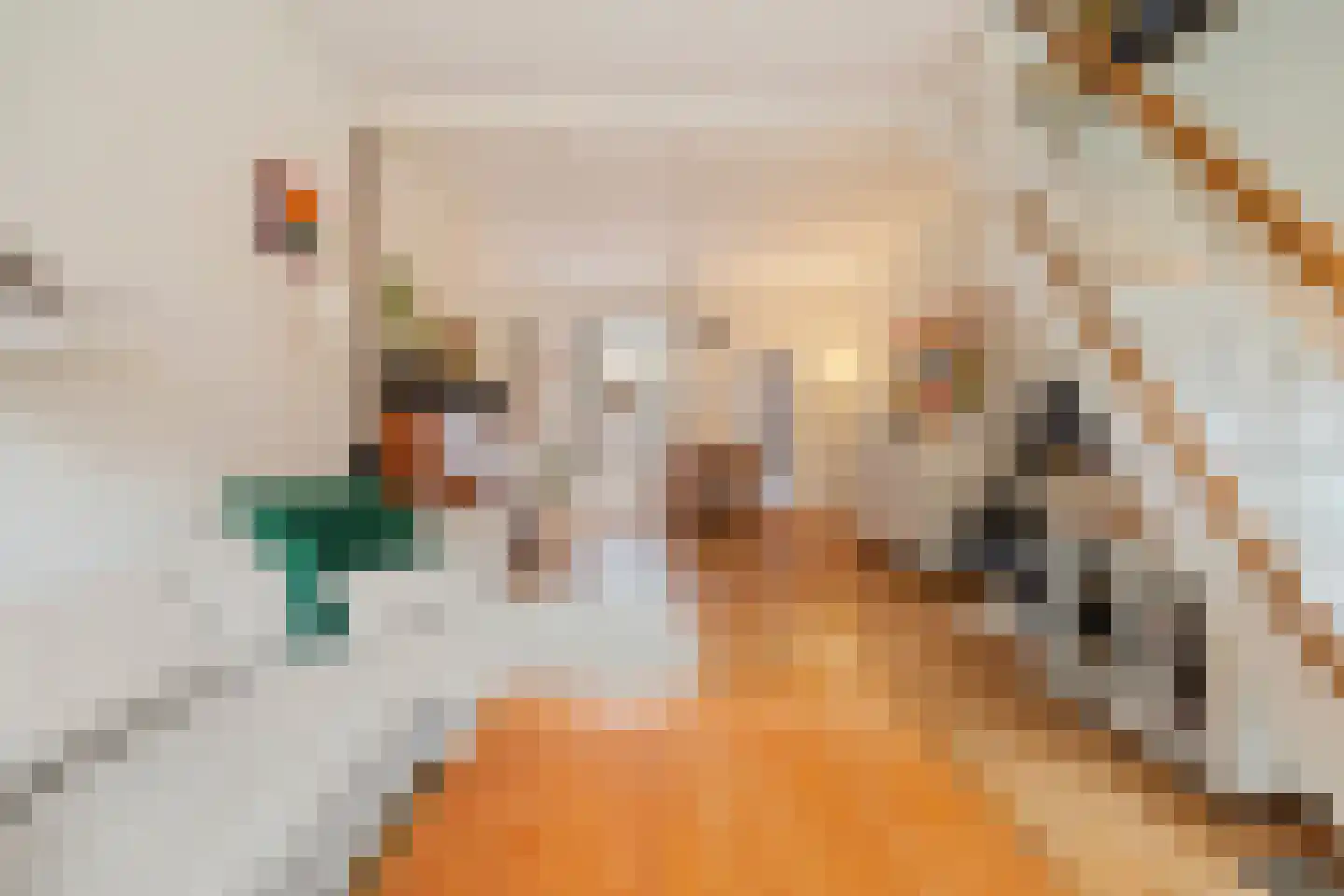 Wilhelminastraat 8 Weesp thumbnail 8