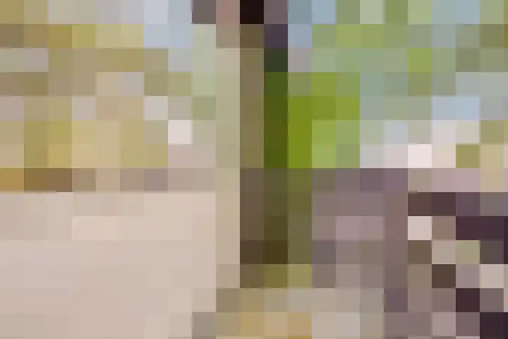 Wilhelminastraat 80 Rosmalen thumbnail 30