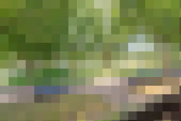 Wilhelminastraat 80 Rosmalen thumbnail 31
