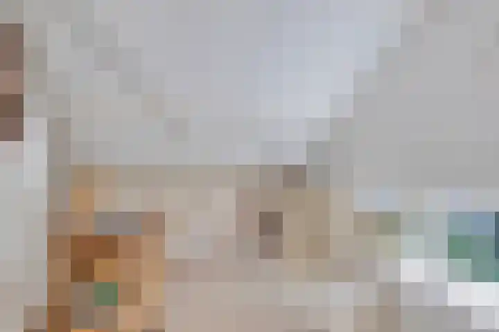 Wilhelminastraat 80 Rosmalen thumbnail 37