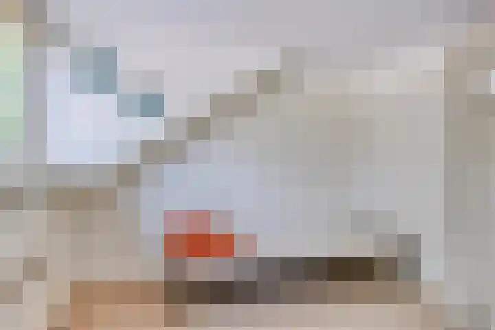 Wilhelminastraat 80 Rosmalen thumbnail 39