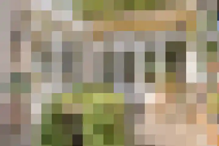 Wilhelminastraat 80 Rosmalen thumbnail 44