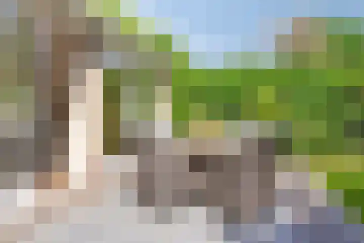 Wilhelminastraat 80 Rosmalen thumbnail 47