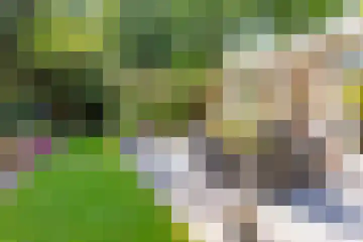 Wilhelminastraat 80 Rosmalen thumbnail 48