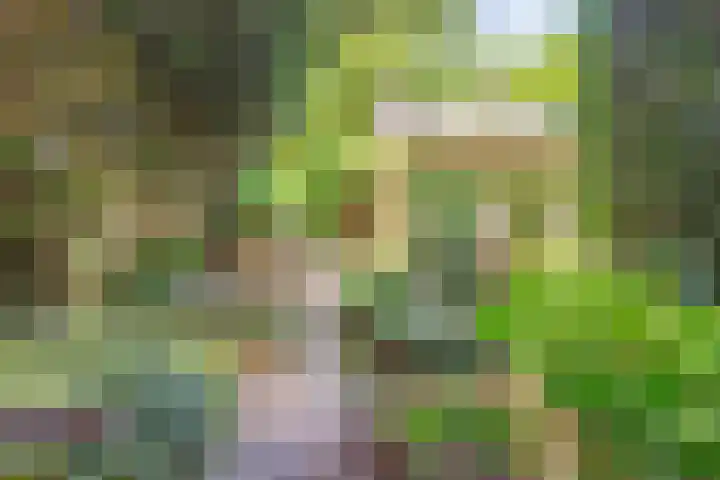 Wilhelminastraat 80 Rosmalen thumbnail 53