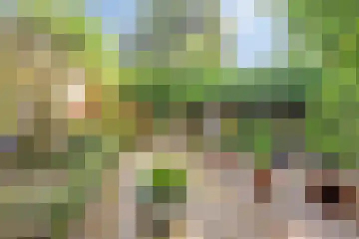 Wilhelminastraat 80 Rosmalen thumbnail 56