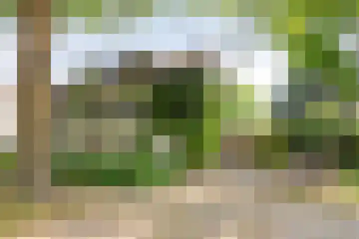 Wilhelminastraat 80 Rosmalen thumbnail 60