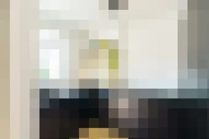 Wilhelminastraat 83 2 Amsterdam thumbnail 12