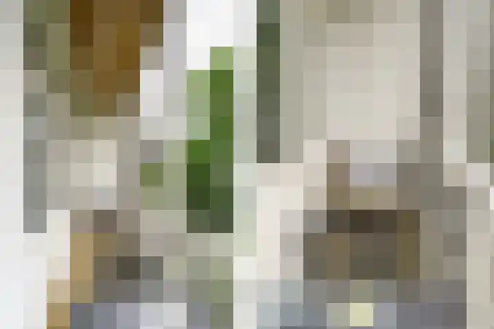 Wilhelminastraat 83 2 Amsterdam thumbnail 16