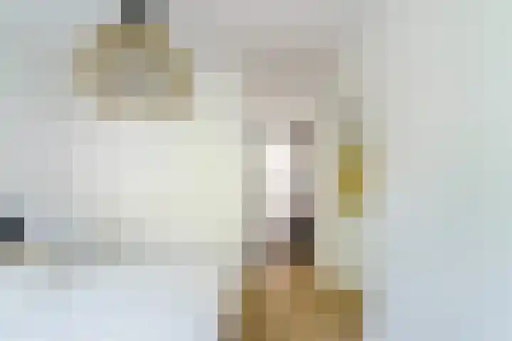 Wilhelminastraat 83 2 Amsterdam thumbnail 19